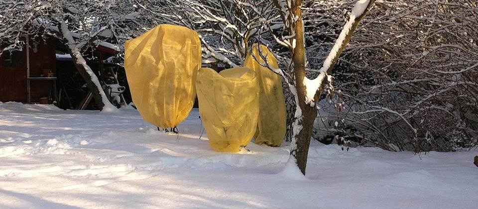 Winter fleeces