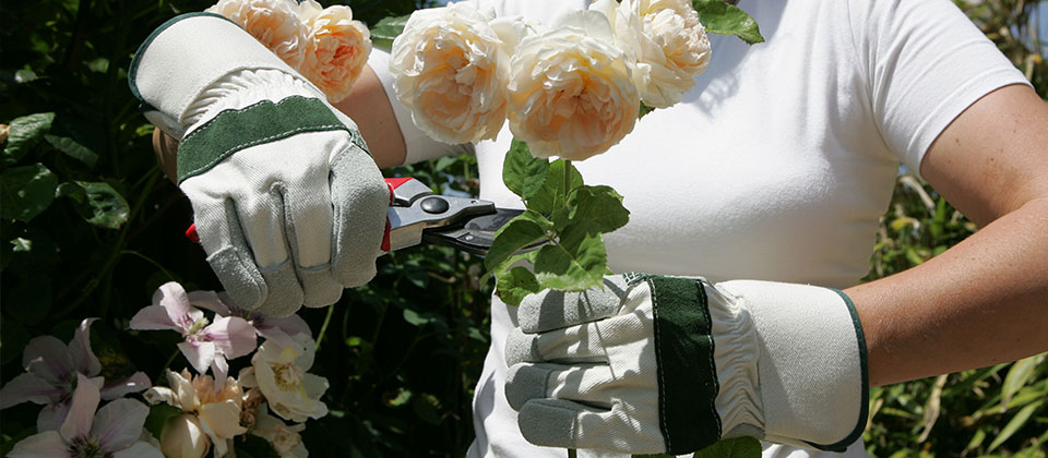 Leather Garden Gloves