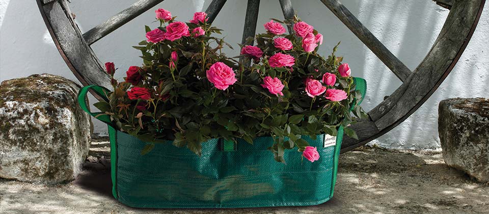 Plant Bags Plant Bags