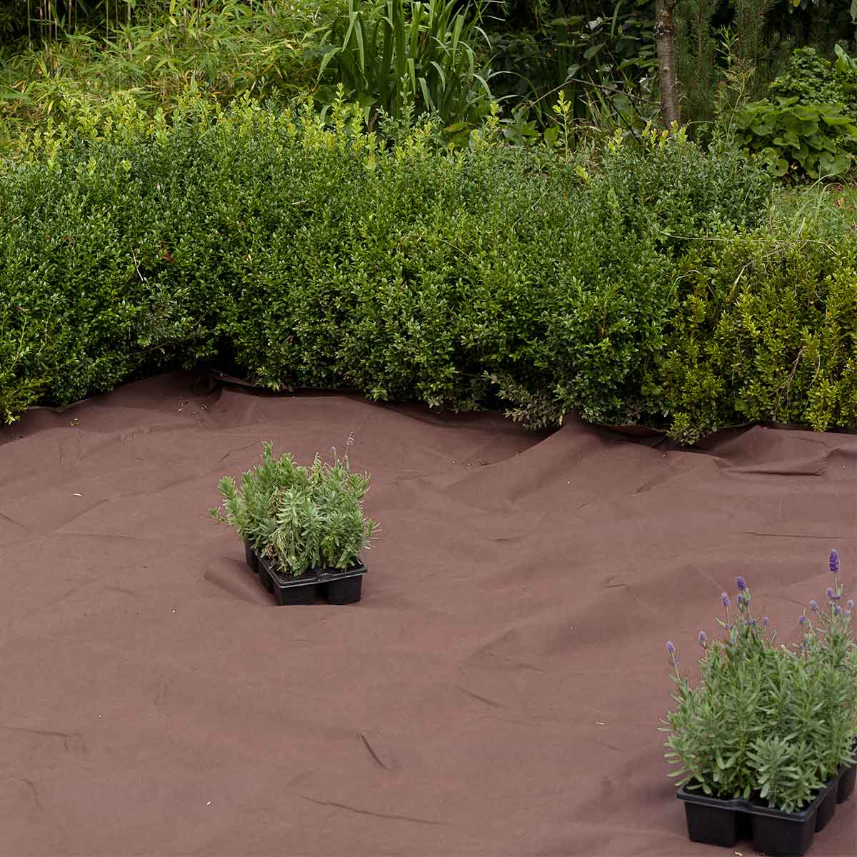 Restaurador de metales - Nederland
